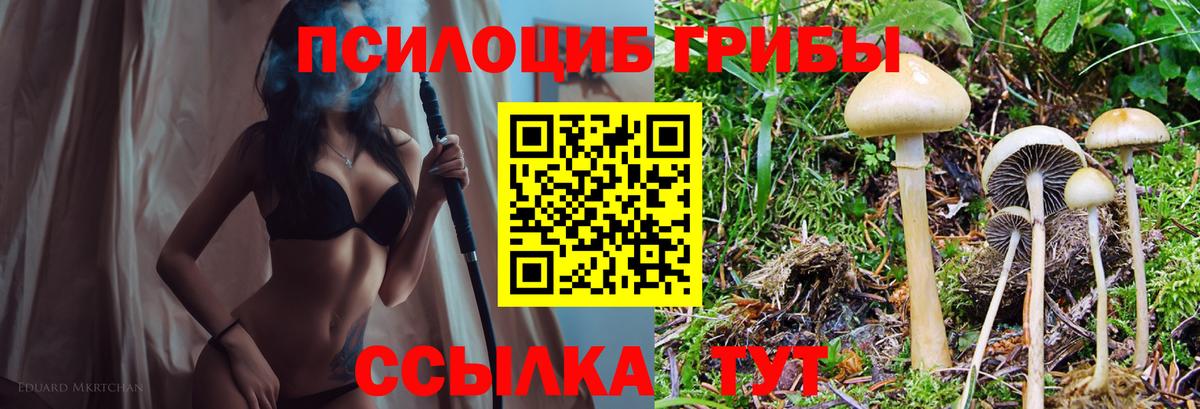 Галлюциногенные грибы Cubensis Туймазы